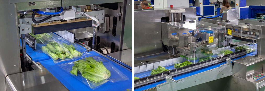 Automatic Vegetable Packaging Machine Introduction