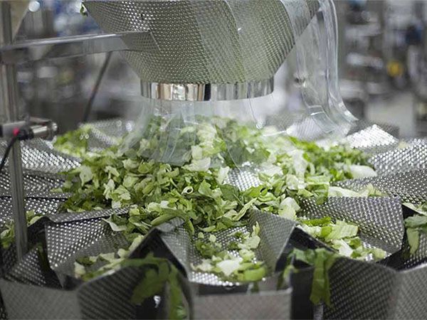 fruit and vegetable packaging equipment